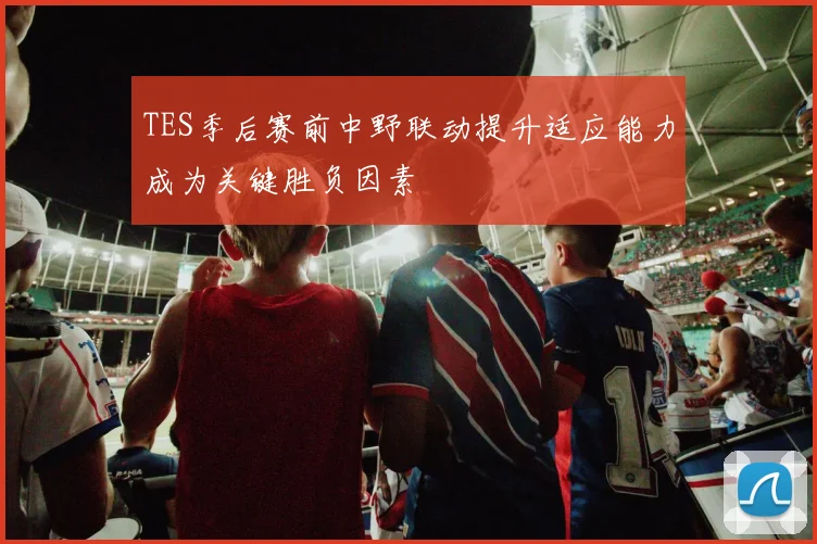 TES季后赛前中野联动提升适应能力成为关键胜负因素